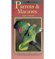 Petlove Guide to Parrots and Macaws