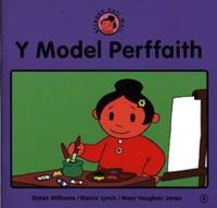 Y Model Perffaith