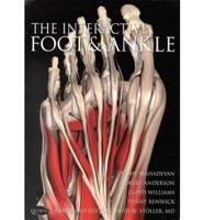 Interactive Foot & Ankle
