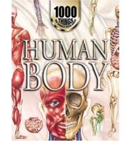 Human Body