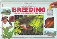 A Practical Guide to Breeding Your Freshwater Fish