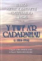 Hanes Methodistiaeth Galfinaidd Cymru: Cyfrol 3 - Y Twf A'r Cadarnhau (C.1814-1914)