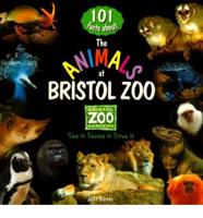 101 Facts About the Animals at Bristol Zoo