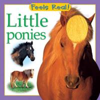 Little Ponies