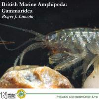 British Marine Amphipoda