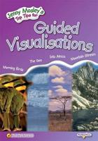 Guided Visualisations