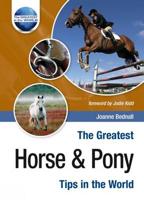 The Greatest Horse & Pony Tips in the World