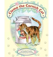 Clemo the Cornish Cat