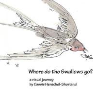 Where Do The Swallows Go?
