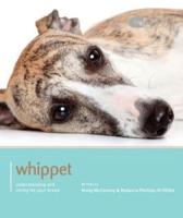 Whippet