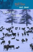 A Herd of Red Deer