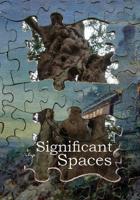 Significant Spaces