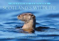 Scotland's Wildlife