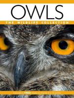 Owls