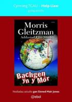 Help Llaw Gydag Astudio: Bachgen Yn Y Môr - Cymraeg TGAU