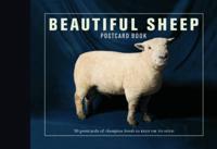 Beautiful Sheep Postcard Book