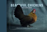 Beautiful Chickens Postcard Book