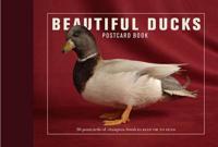 Beautiful Ducks Postcard Book