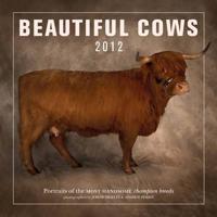Beautiful Cows Calendar 2012