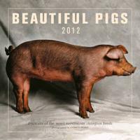 Beautiful Pigs Calendar 2012