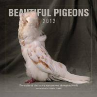 Beautiful Pigeons Calendar 2012