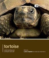 Tortoise