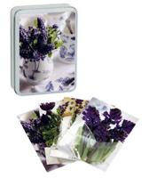 Country Blue Posies Tinned Notecards