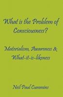 What Is the Problem of Consciousness?