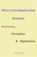 What Is the Relationship Between Awareness, Perception and Experience?