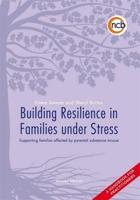 Building Resilience in Families Under Stress