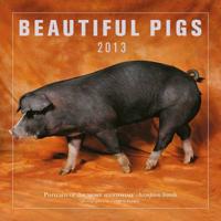 Beautiful Pigs 2013