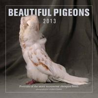 Beautiful Pigeons 2013
