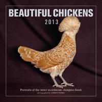 Beautiful Chickens 2013