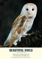 Beautiful Owls Journal