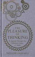 The Pleasure of Thinking