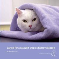 Caring for a Cat with Kidney Disease