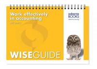 Work Effectively in Accounting Wise Guide