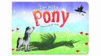I Am Not a ... Pony