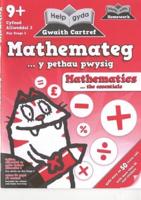 Mathemateg ... Y Pethau Pwysig