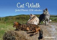 Cat Walk 2016 Calendar