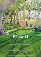 Eifionydd