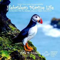 Hebridean Marine Life