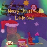 Merry Christmas, Little Owl!