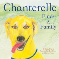 Chanterelle Finds a Family