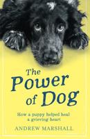 The Power of Dog