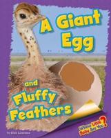 A Giant Egg and Fluffy Feathers (Ostrich)