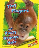 Tiny Fingers and Fuzzy Orange Hair (Orangutan)
