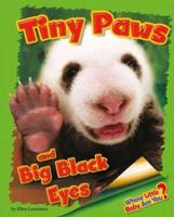 Tiny Paws and Big Black Eyes (Giant Panda)