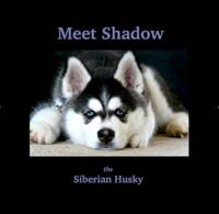 Meet Shadow
