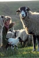 Yorkshire Shepherdess Notebook, The